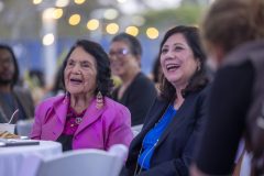 Huerta 96thBD 322